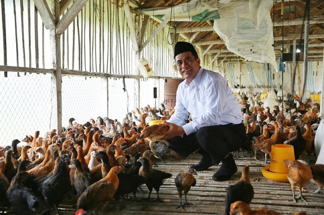 Santri Tani Milenial, Mentan Kucurkan 1 Juta Ayam untuk Seluruh Pesantren