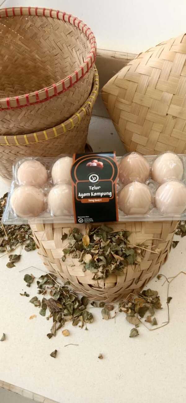 Telur ayam Kampoeng Santri